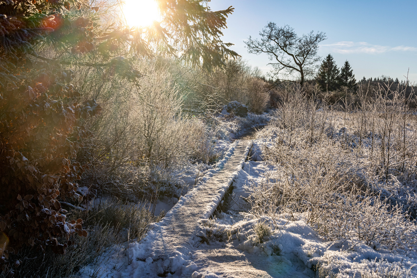 Winterlandschaft im Hohen Venn