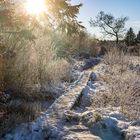 Winterlandschaft im Hohen Venn