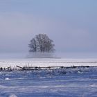 Winterlandschaft im Kältenebel