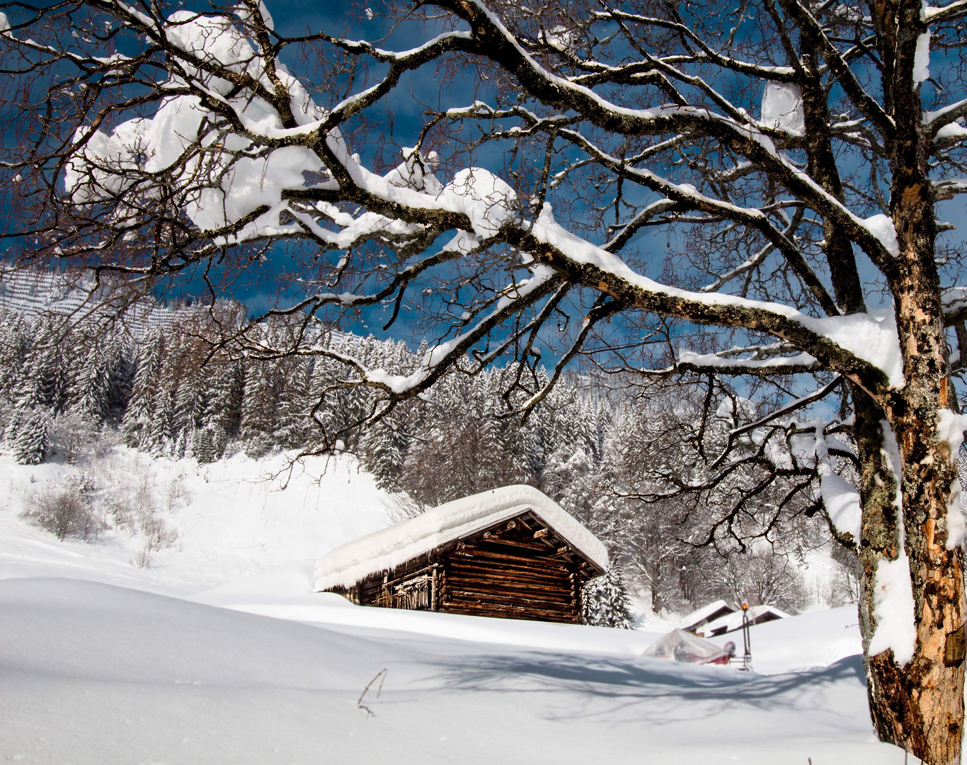 Winterlandschaft im Kleinwalsertal