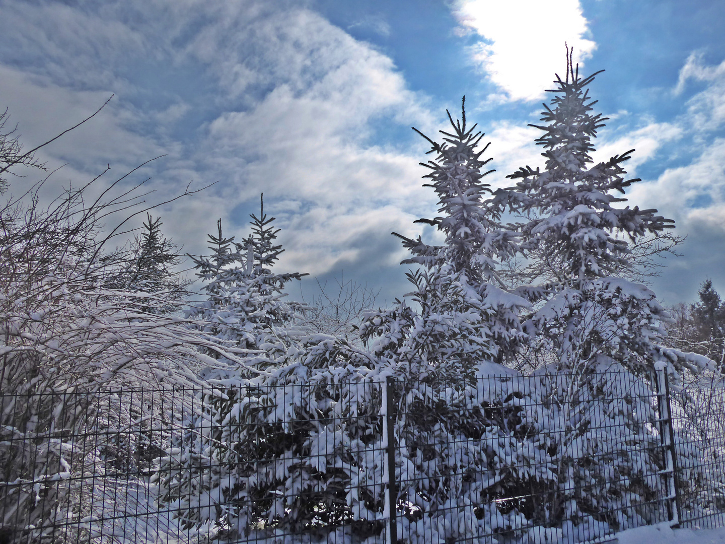 Winterlandschaft im März