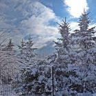 Winterlandschaft im März