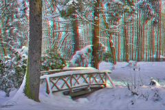 Winterlandschaft im Meeraner Stadtpark (Anaglyph-Version)