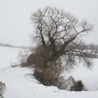 Winterlandschaft im Mittelgebirge