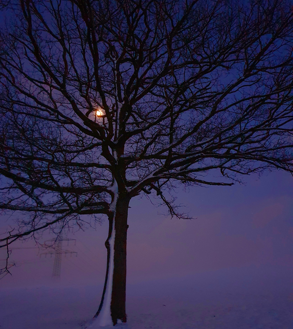 Winterlandschaft im Mondlicht