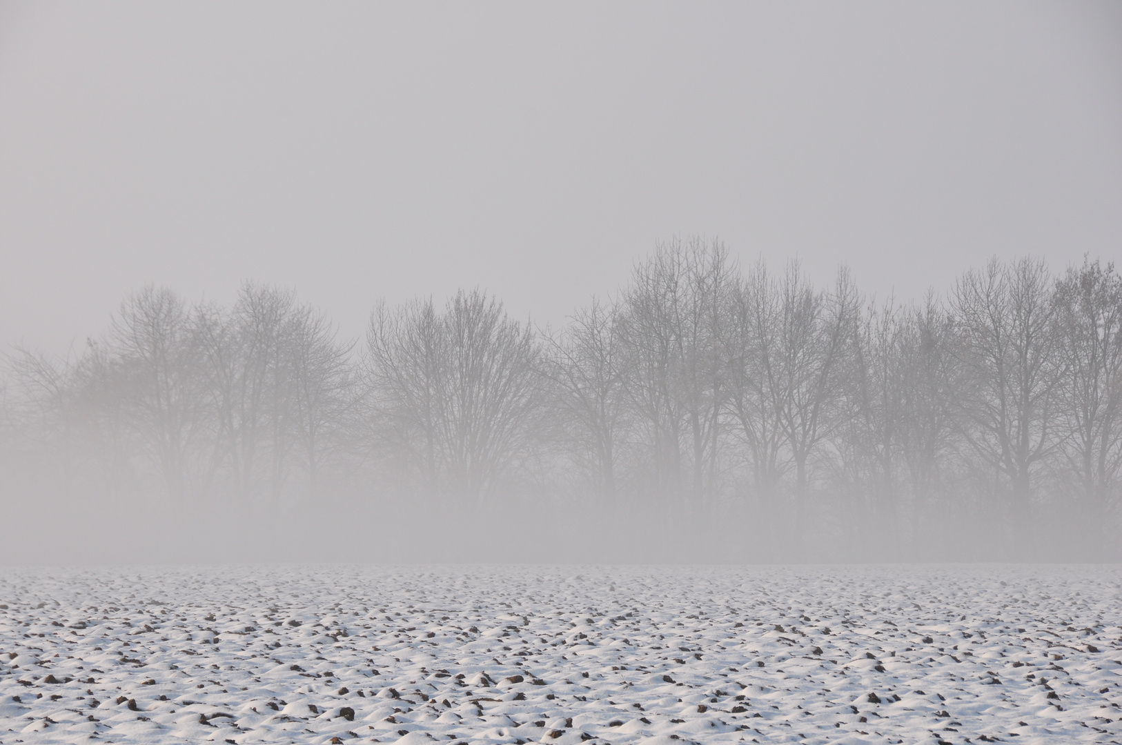 Winterlandschaft im Nebel