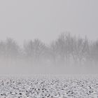 Winterlandschaft im Nebel