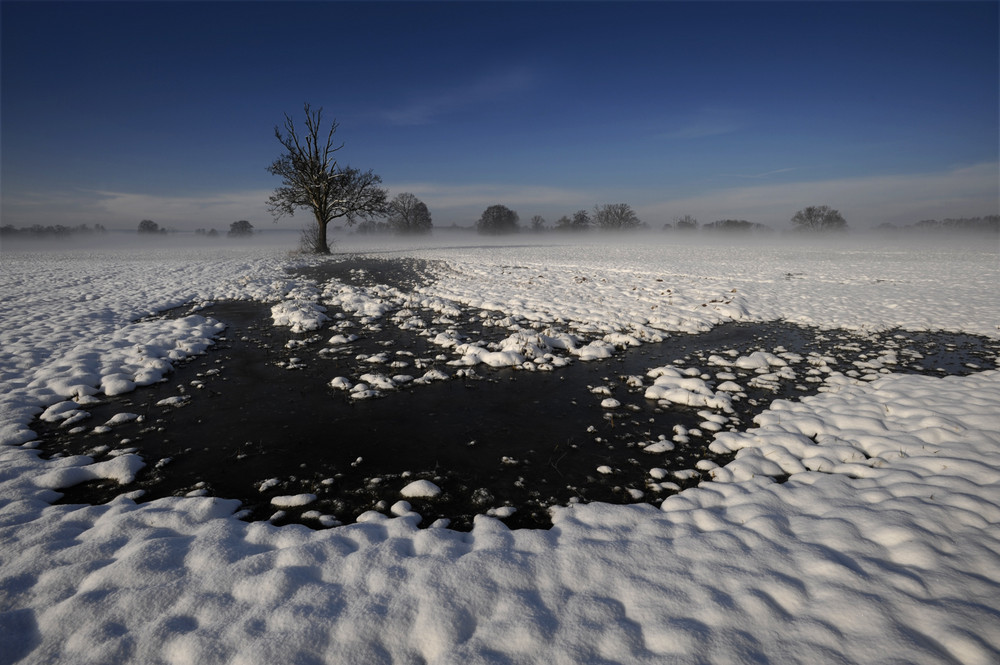 Winterlandschaft im Nebel