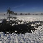 Winterlandschaft im Nebel