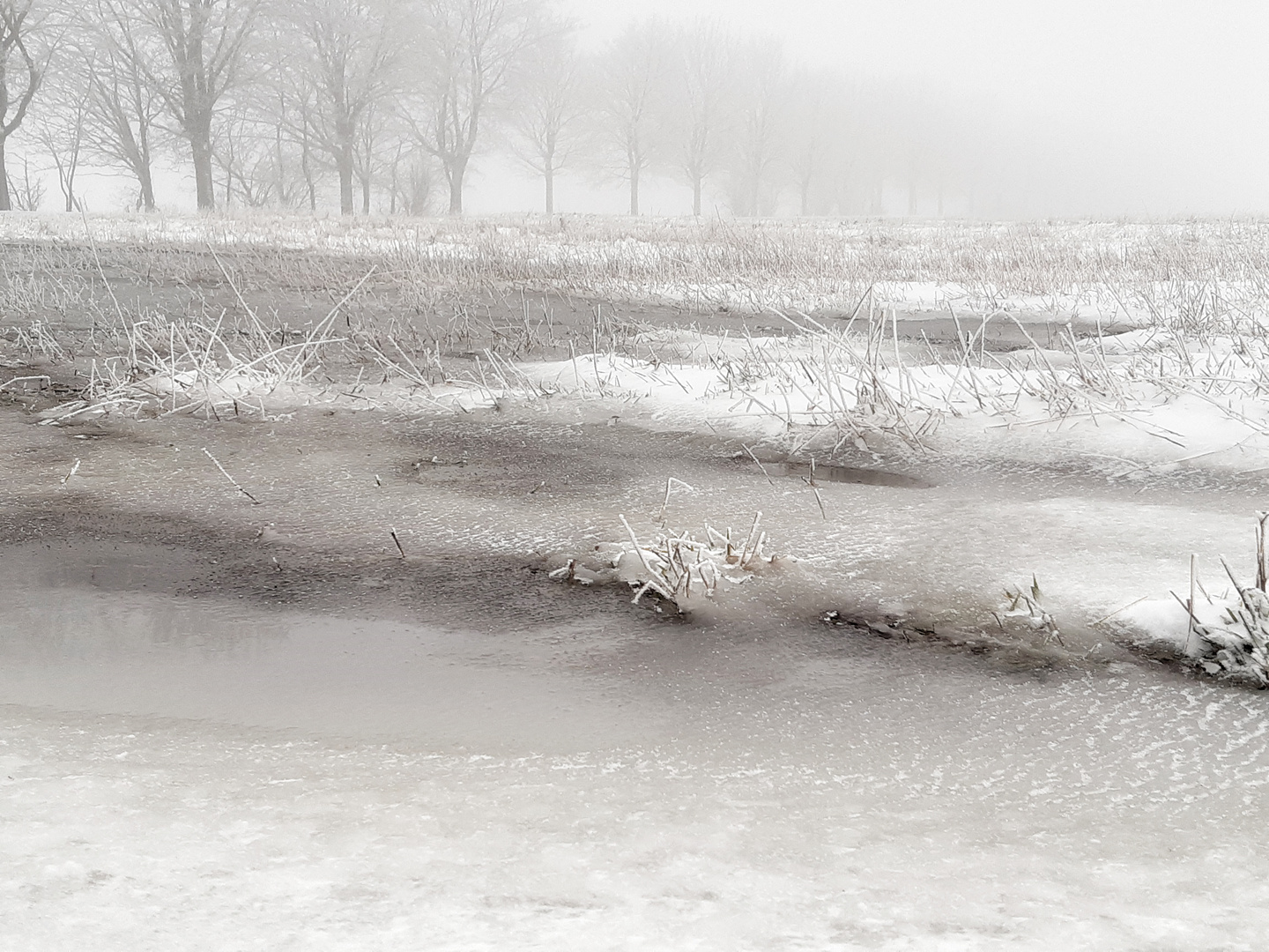 Winterlandschaft im Nebel