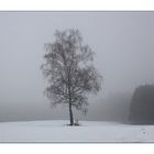 ......Winterlandschaft im Nebel......