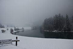 Winterlandschaft im Nebel