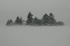 Winterlandschaft im Nebel