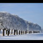 Winterlandschaft im Norden