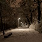 Winterlandschaft im Osterholz