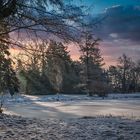 ........ Winterlandschaft im Park