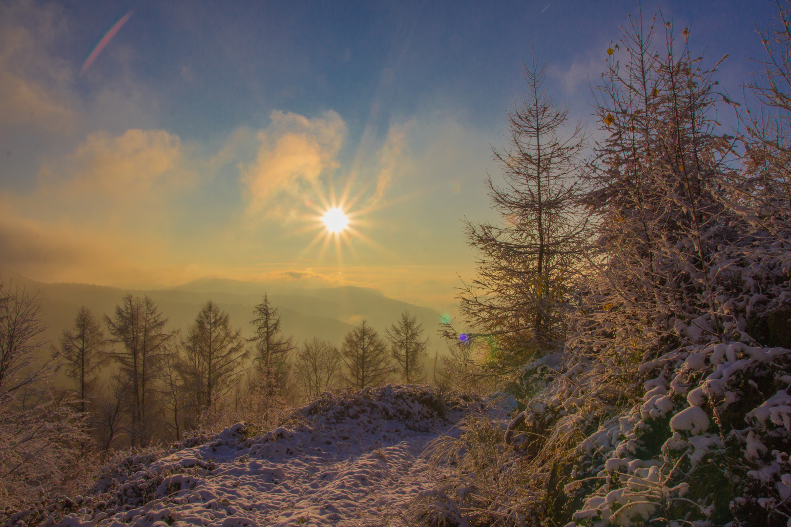 Winterlandschaft im Pfälzer Wald