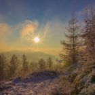 Winterlandschaft im Pfälzer Wald