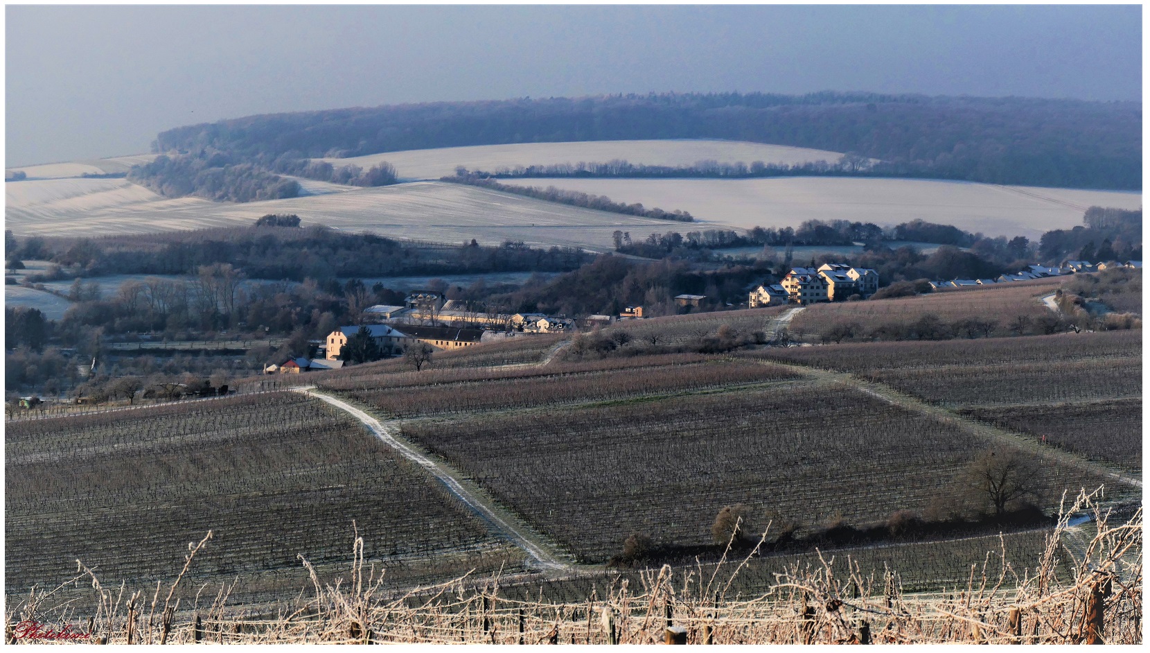 Winterlandschaft im Rheingau (I)