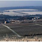 Winterlandschaft im Rheingau (I)