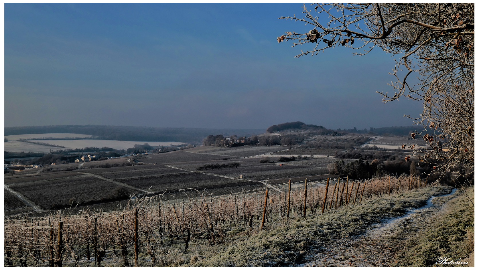 Winterlandschaft im Rheingau (II)