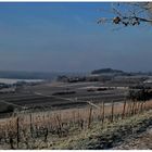 Winterlandschaft im Rheingau (II)