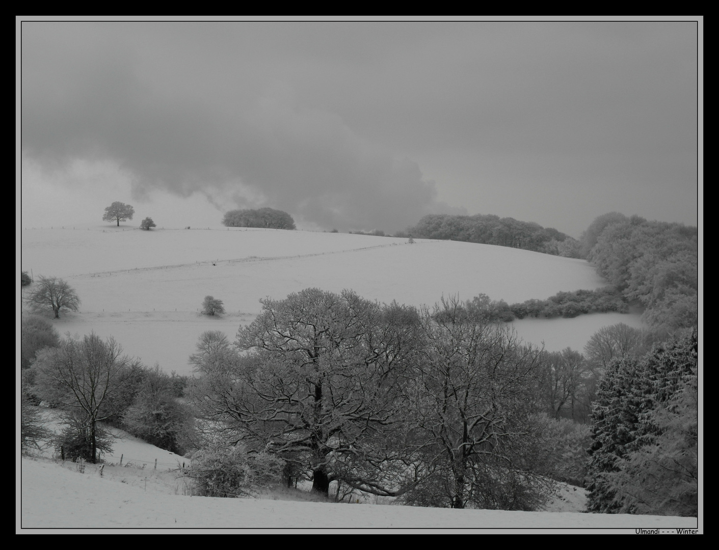 Winterlandschaft im Sauerland