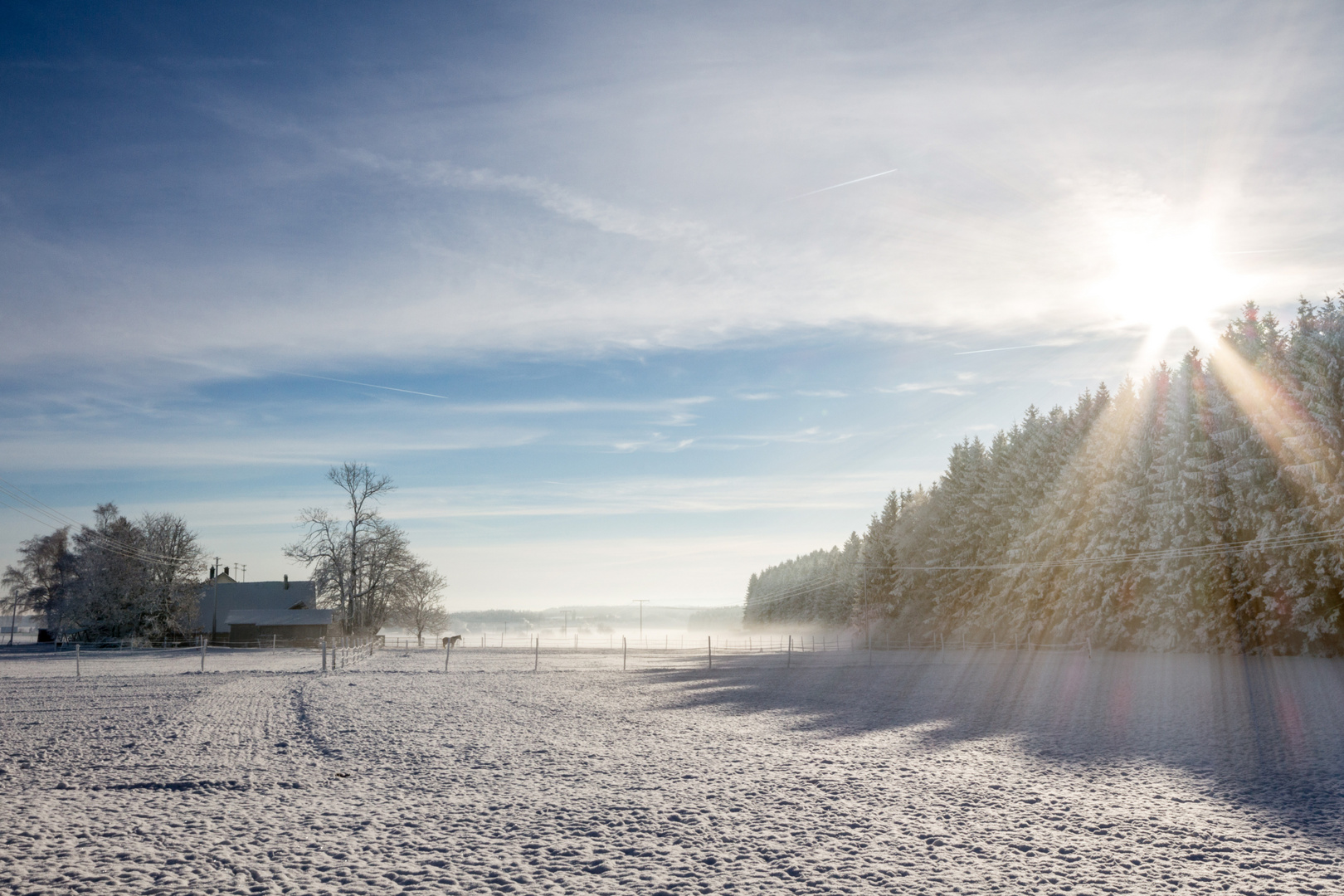 Winterlandschaft im Schwarzwald