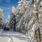 Winterlandschaft im Schwarzwald