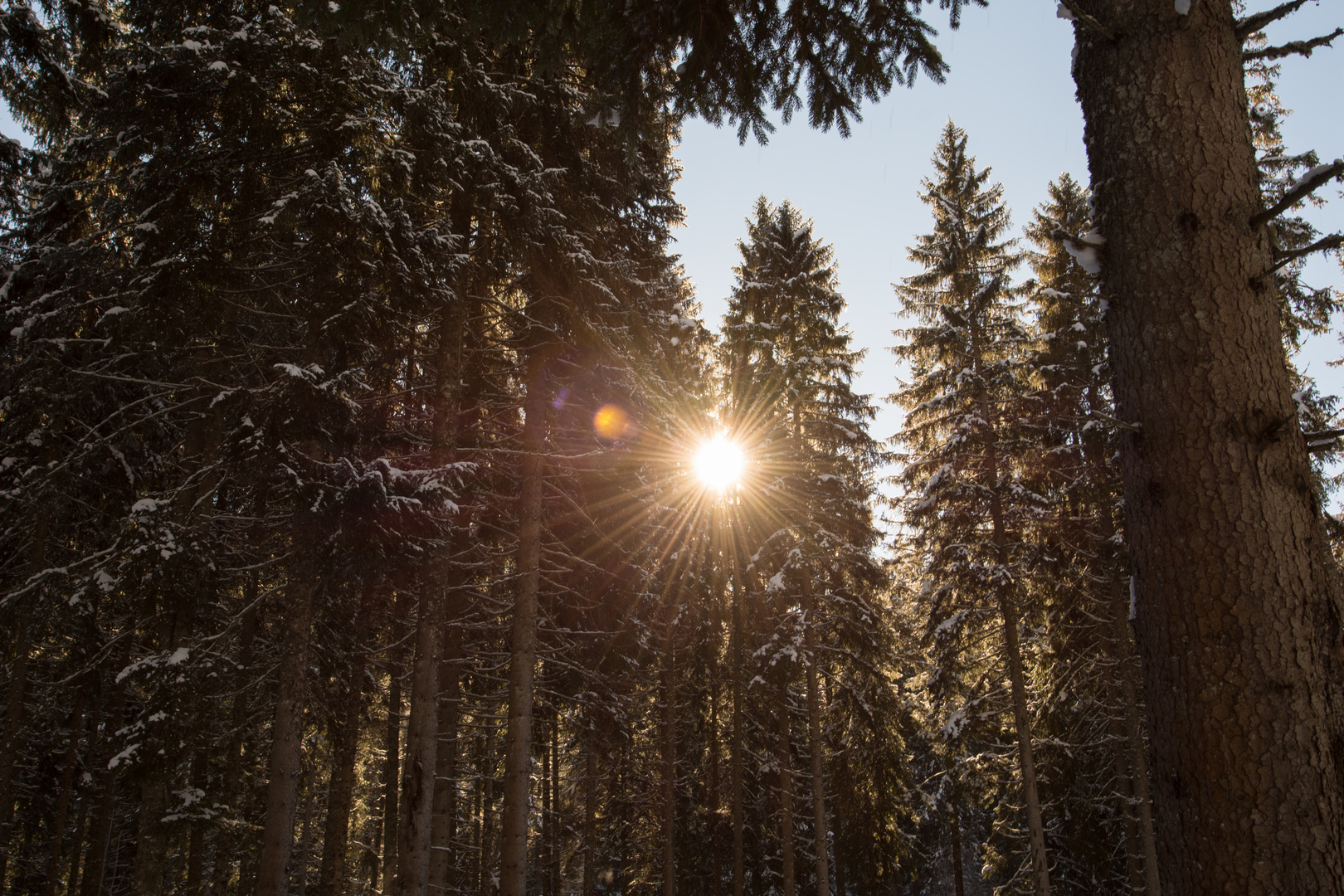 Winterlandschaft im Schwarzwald