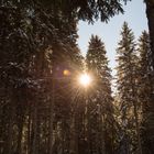 Winterlandschaft im Schwarzwald