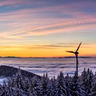 Winterlandschaft im Schwarzwald