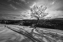 Winterlandschaft im Schwarzwald