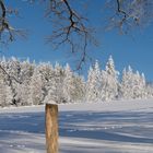 Winterlandschaft im Siegerland