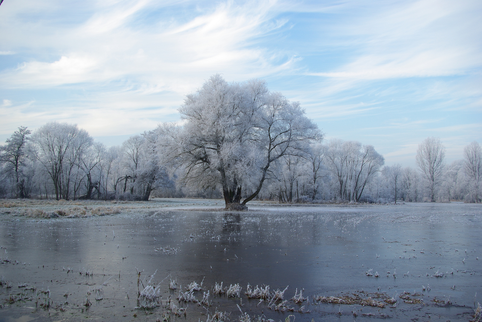 Winterlandschaft im Spreewald