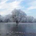 Winterlandschaft im Spreewald