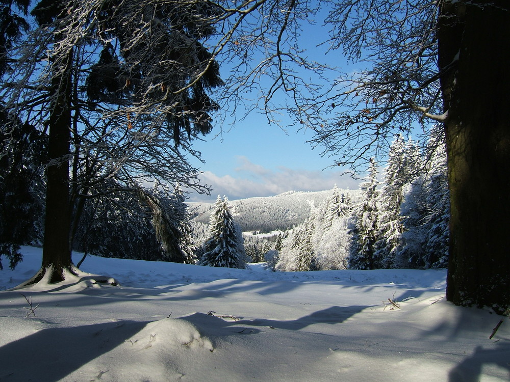 Winterlandschaft im Thüringer Wald