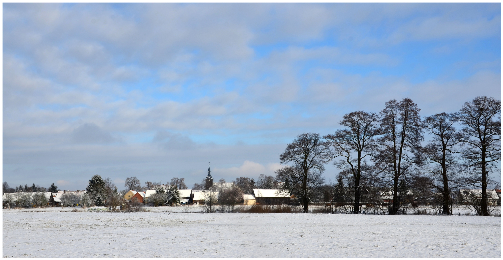 Winterlandschaft im Unterspreewald