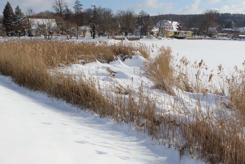 Winterlandschaft im Vogelschutzgebiet