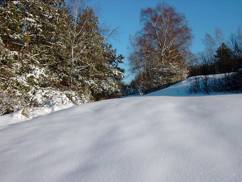 Winterlandschaft im Weinviertel