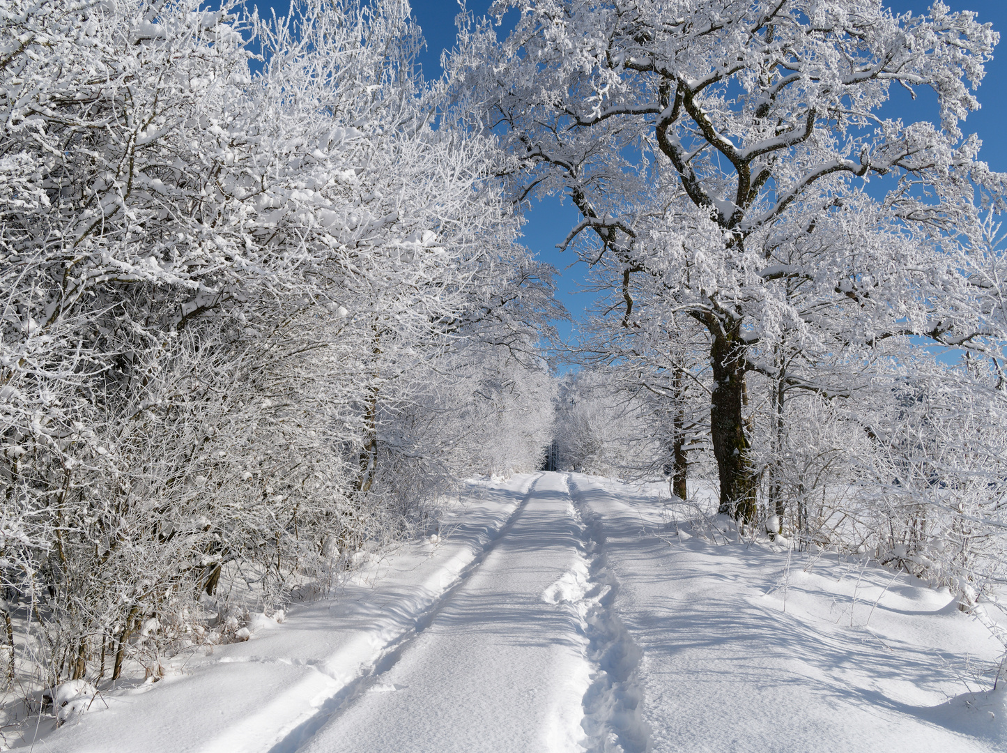 Winterlandschaft im Westerwald