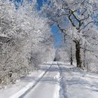 Winterlandschaft im Westerwald