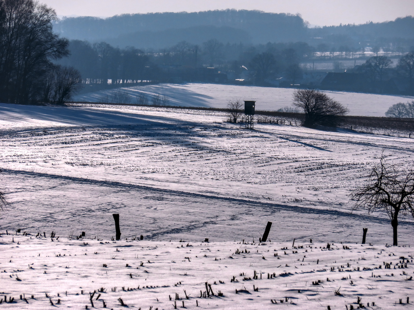 Winterlandschaft im Wiehengebirge