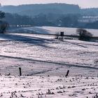 Winterlandschaft im Wiehengebirge