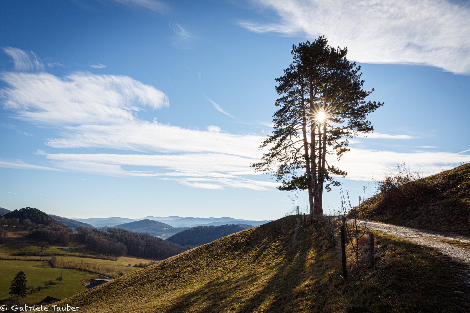 Winterlandschaft im Wienerwald