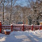 Winterlandschaft im Zoo Leipzig