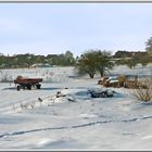 Winterlandschaft in Alt-Strelitz (Mecklenburg-Strelitz)