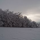 Winterlandschaft in Annaberg-Buchholz