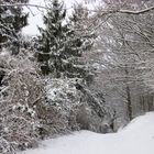 Winterlandschaft in Bad Doberan