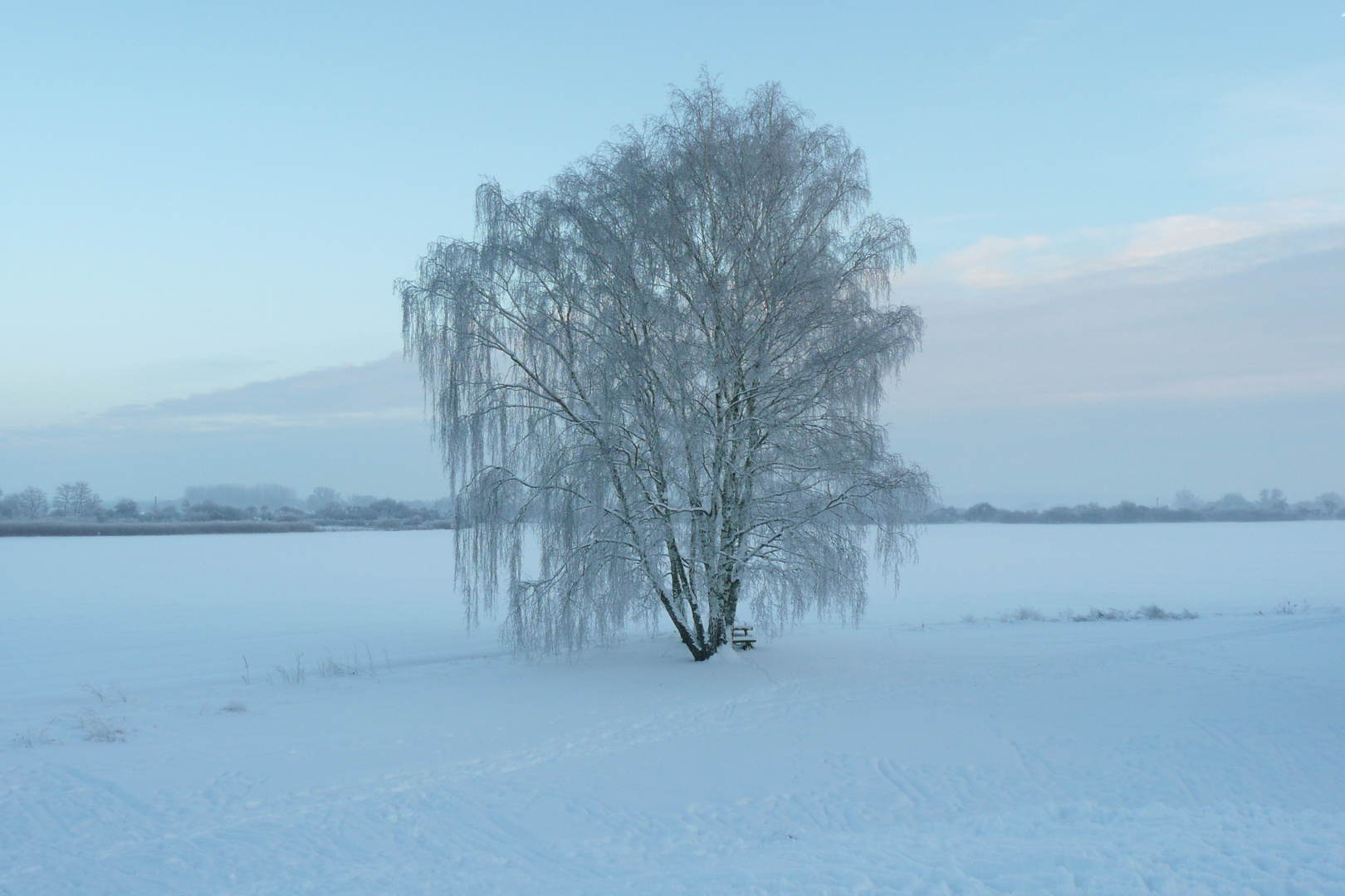 Winterlandschaft in Brandenburg